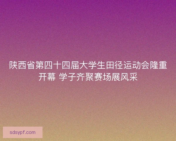 陕西省第四十四届大学生田径运动会隆重开幕 学子齐聚赛场展风采