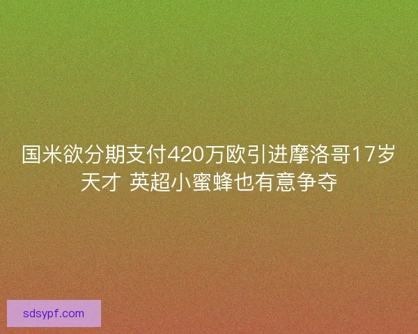 国米欲分期支付420万欧引进摩洛哥17岁天才 英超小蜜蜂也有意争夺